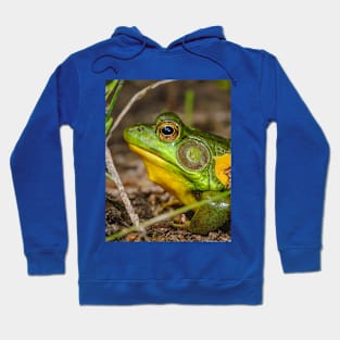 Big Ol' Green Frog Photograph Hoodie